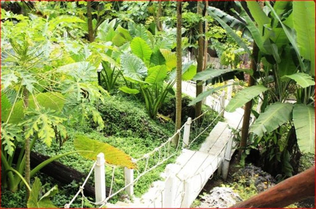 Rai Preda Homestay Ao Luk Extérieur photo